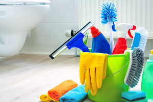 Messie Reinigung Marl