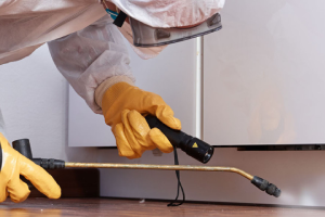 Messie Schädlingsbekämpfung Marl